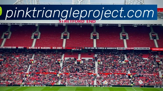 米兰app入口平台生态图